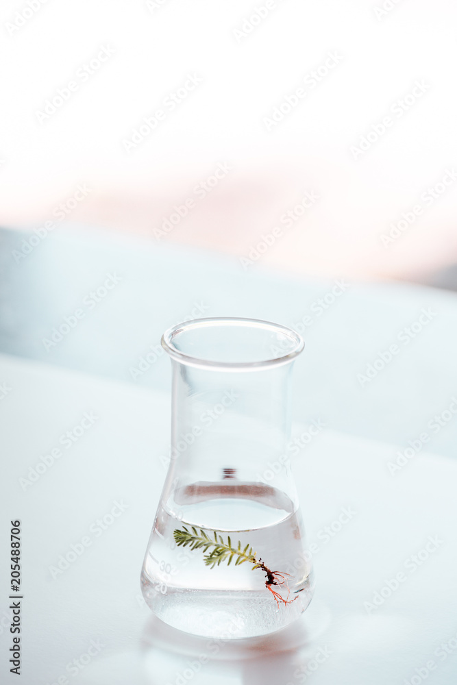 flask for bio research flask for bio research
