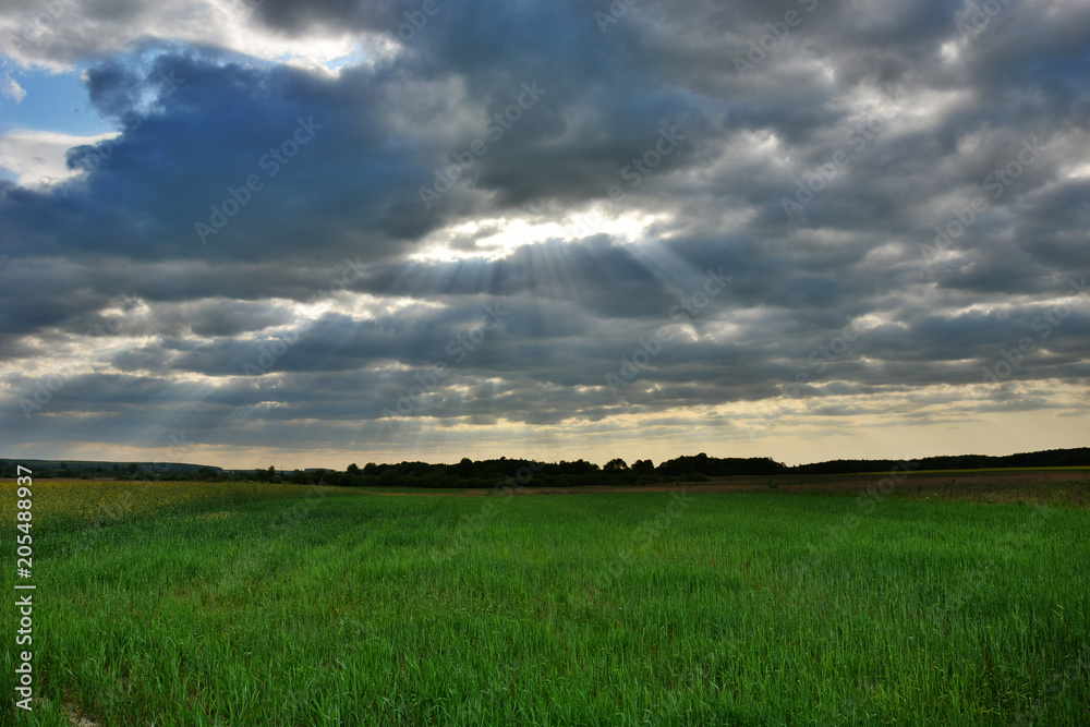 Sunny rays in dark clouds above the green field
