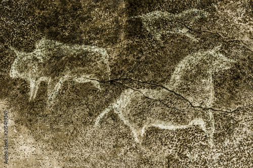 An image of ancient animals depicted on the wall of a cave. ancient history. drawings of an ancient man. ancient art.