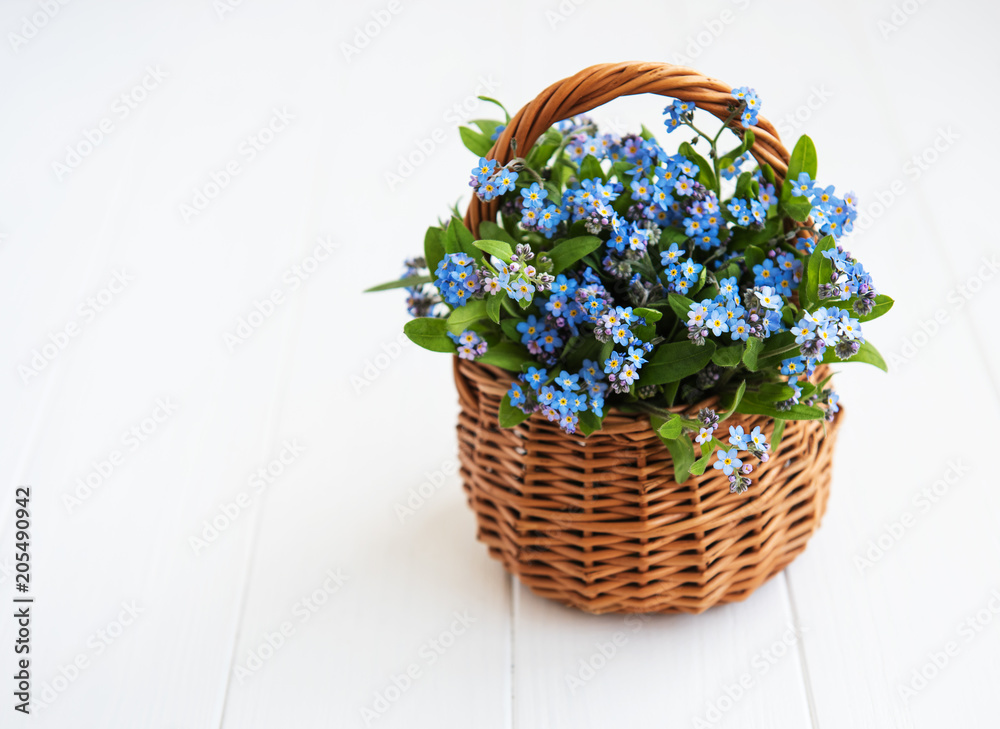 Forget-me-not flowers in basket