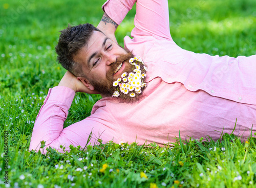 Bearded man with daisy flowers in beard lay on meadow, lean on hand, grass background. Man with beard on happy face enjoy nature. Relaxation concept. Hipster with bouquet of daisies in beard relaxing.