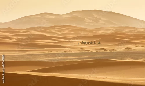 Obraz caravan go by sand dunes in Sahara desert in Morocco