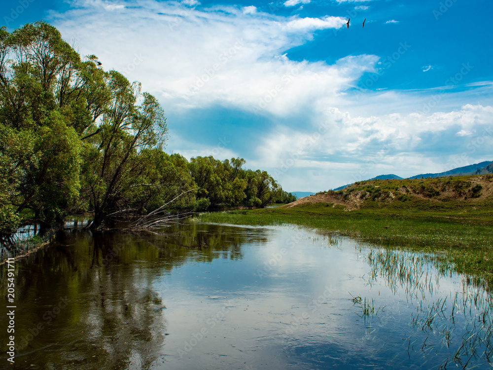Montana Flooded Fields and Streams Montana Flooded Fields and Streams