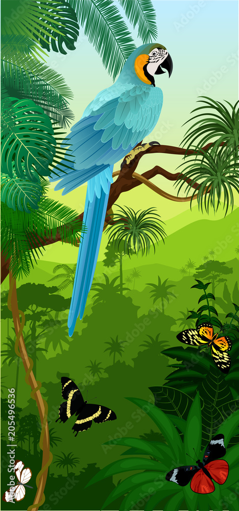 Fototapeta Vector Jungle rainforest vertical baner with parrot Blue and yellow Macaw and butterflies
