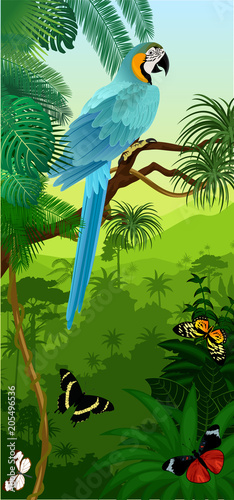Vector Jungle rainforest vertical baner with parrot Blue and yellow Macaw and butterflies © Save Jungle