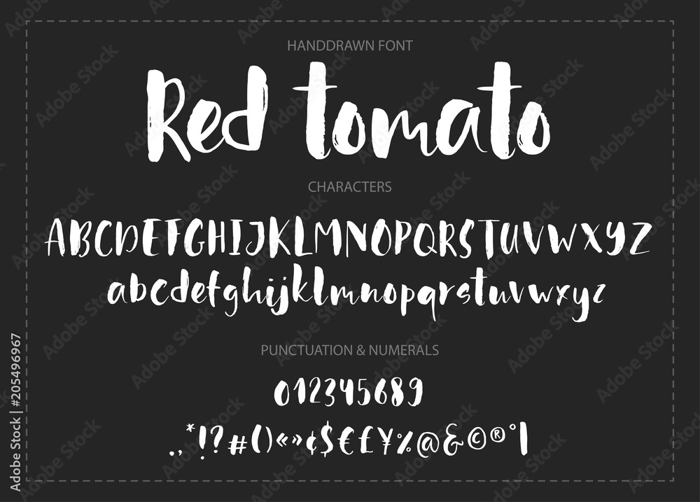 Red tomato. Handdrawn ink brush font.