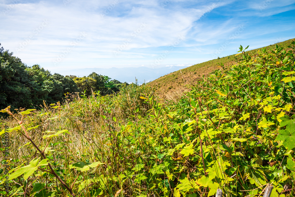 Beautiful mountain landscape with blue sky in northern Thailand - Green nature and travel business concept