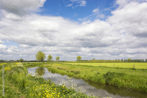 Typical dutch landscape in the Betuwe, near the river Linge, on a beautiful day in the Netherlands with river, meadows and cloudy sky and primroses