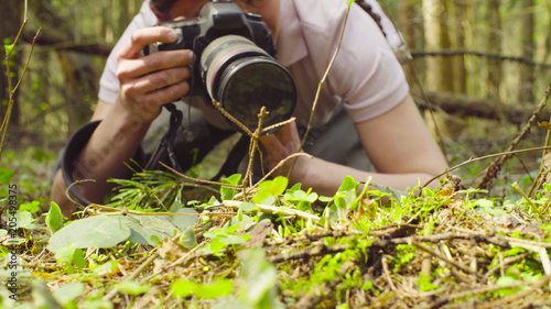 Close up. The woman ecologist making photos of the plants in the forest. photo