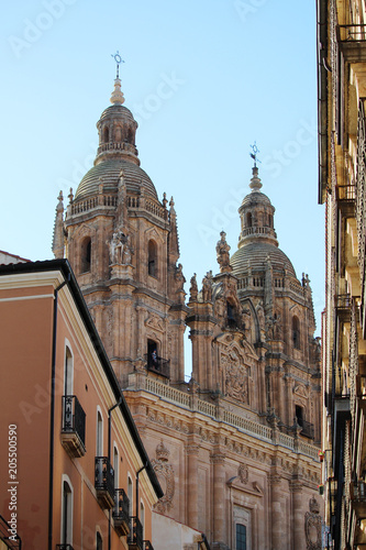 New Cathedral of Salamanca, Spain