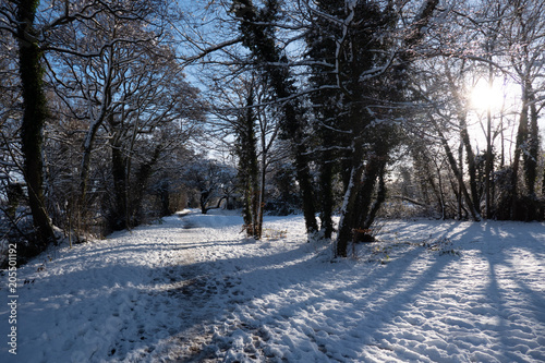 snow winter cold icy landscape