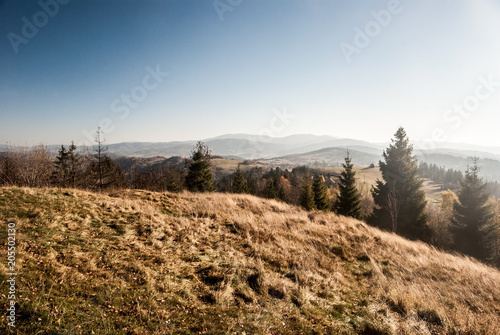 autumn mountain landscape with hills, meadows, trees and clear sky photo