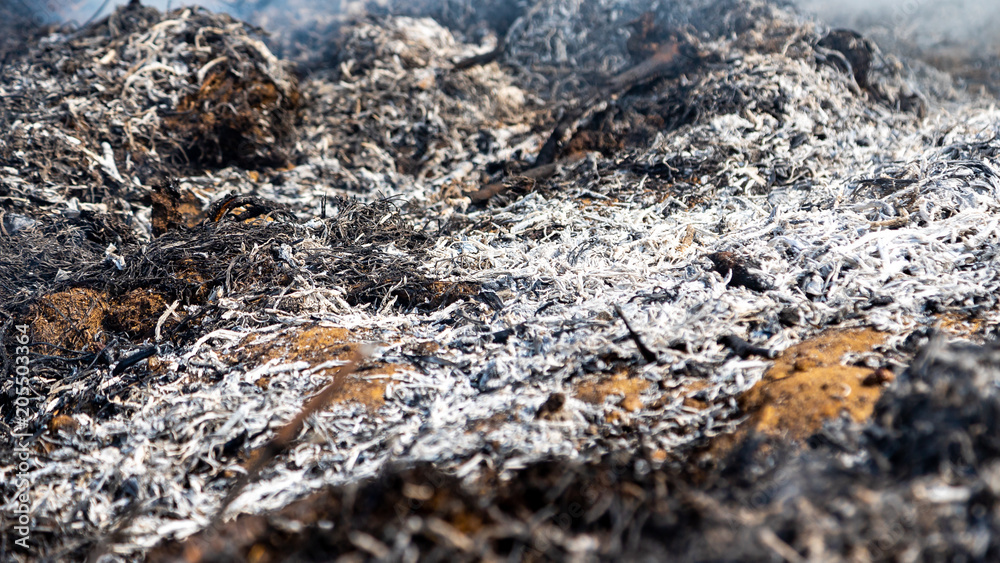 The field is burning The field is burning
