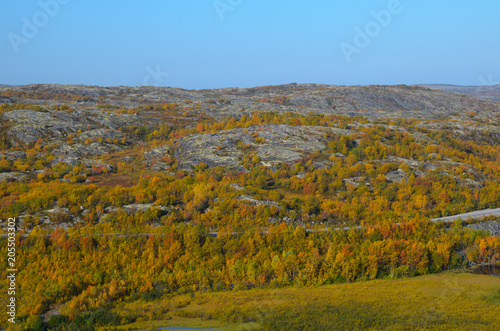 Tundra, forest, hills in autumn. The view from the top.