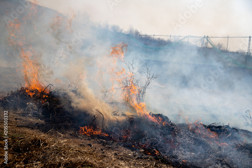 The field is burning