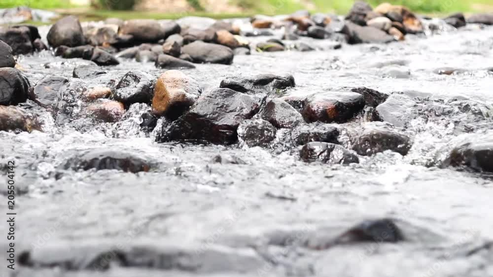Beauty of the creek in forest,small water fall flowing through the rocks
Beauty of the creek in forest,small water fall flowing through the rocks