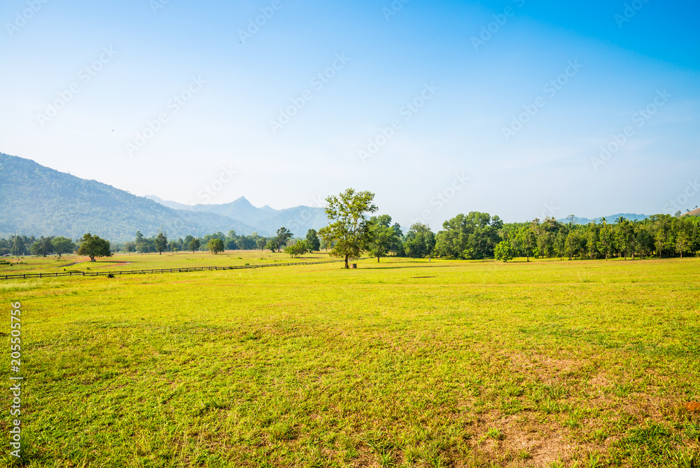 Beautiful green field with blue sky, Ranong Thailand