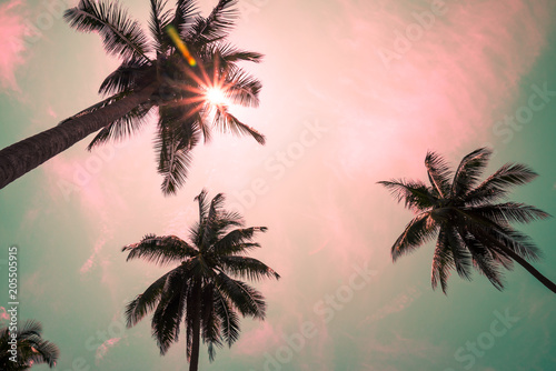 Coconut palm trees in sunny day with beautiful lens flare - Tropical summer breeze holiday © pla2na