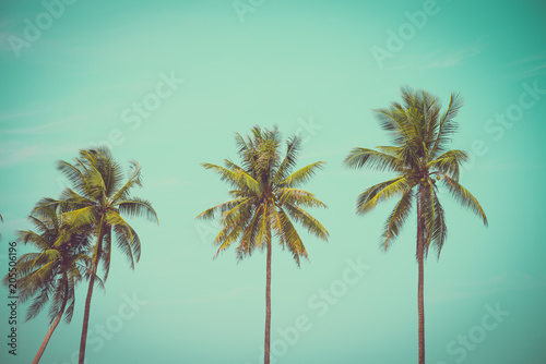 Coconut palm trees in sunny day - Tropical summer breeze holiday  vintage tone
