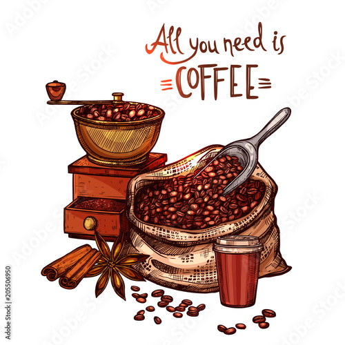 Sketch Coffee Color Illustration. Hand Drawn Still Life With Coffee Mill, Cup, Cinnamon, Star Anise And Bag With Coffee Beans