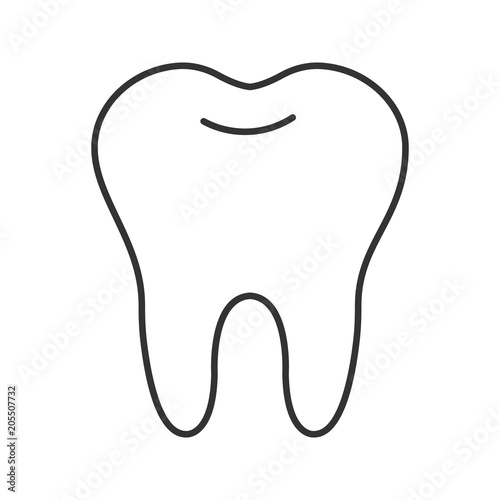 Healthy tooth linear icon