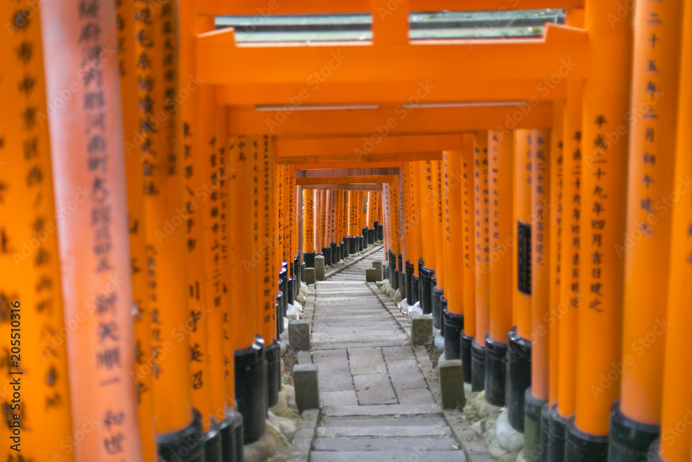 japan japan