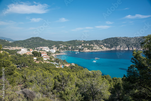 Bucht Camp de Mar Mallorca  © dmaphoto