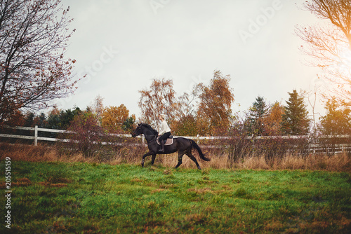 Young woman riding her chestnut horse through an autumn