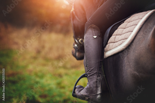 Obraz na płótnie Woman in riding gear sitting on a horse in a field