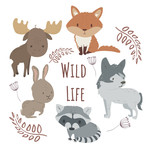 Wild forest animals set cartoon illustration