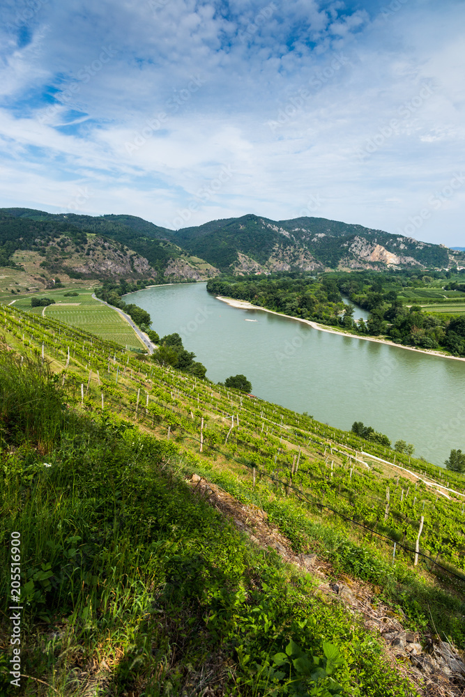 Landscape of Wachau valley, Danube river, Austria.