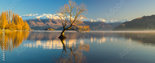 Lake Wanaka, Otago, South Island, Nowa Zelandia