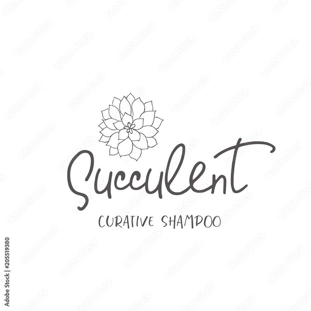 Line logo of succulent.