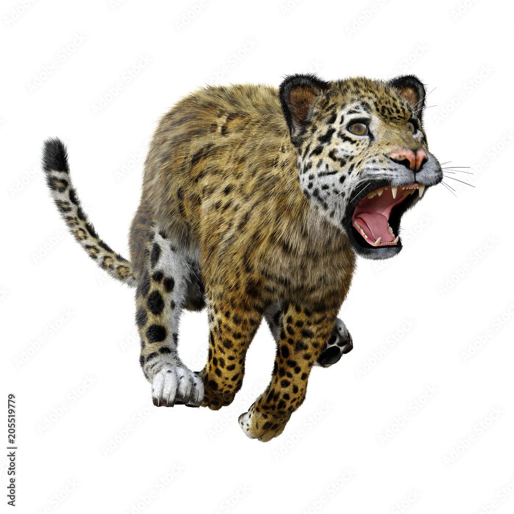Obraz premium 3D Rendering Big Cat Jaguar on White