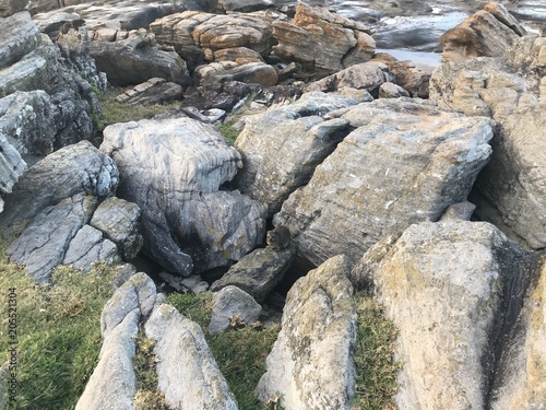 Rock hyraxes having a warm morning sun bath as the cling to the rocks