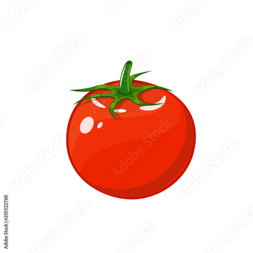 Tomato isolated single simple cartoon illustration