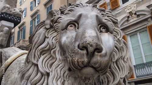 Lion near the Cathedral of San Lorenzo. Genoa, Italy.