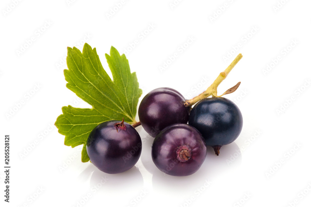 Blackcurrants Blackcurrants