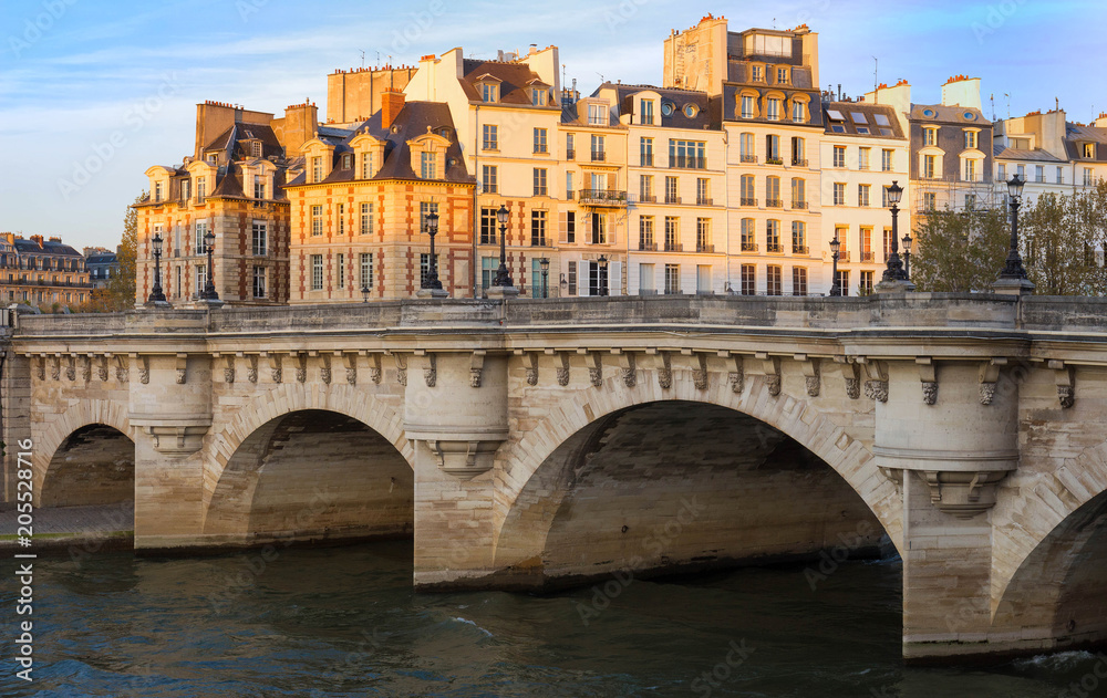 The Pont Neuf New Bridge and Seine river , Paris, France.