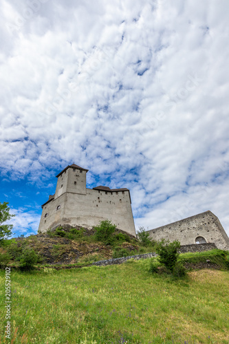 Burg Gutenberg in the Alps. Vaduz Castle in Liechtenstein with mountains