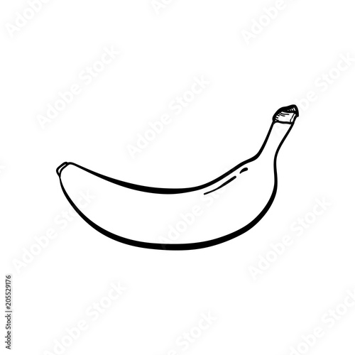 A Banana Hand drawn Icon Simple Vector Line Art