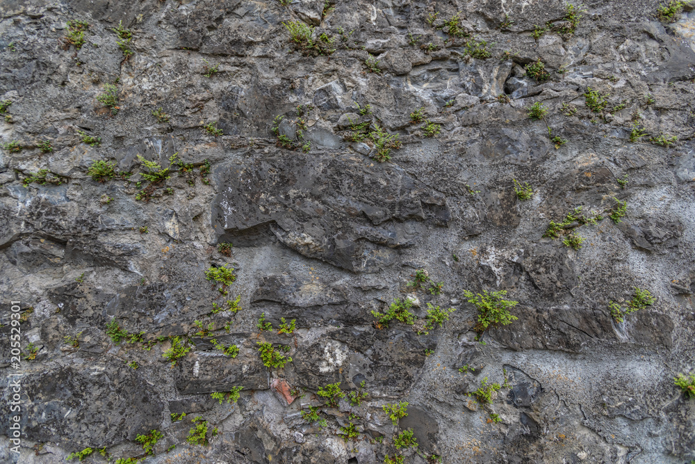 Background with old stone wall