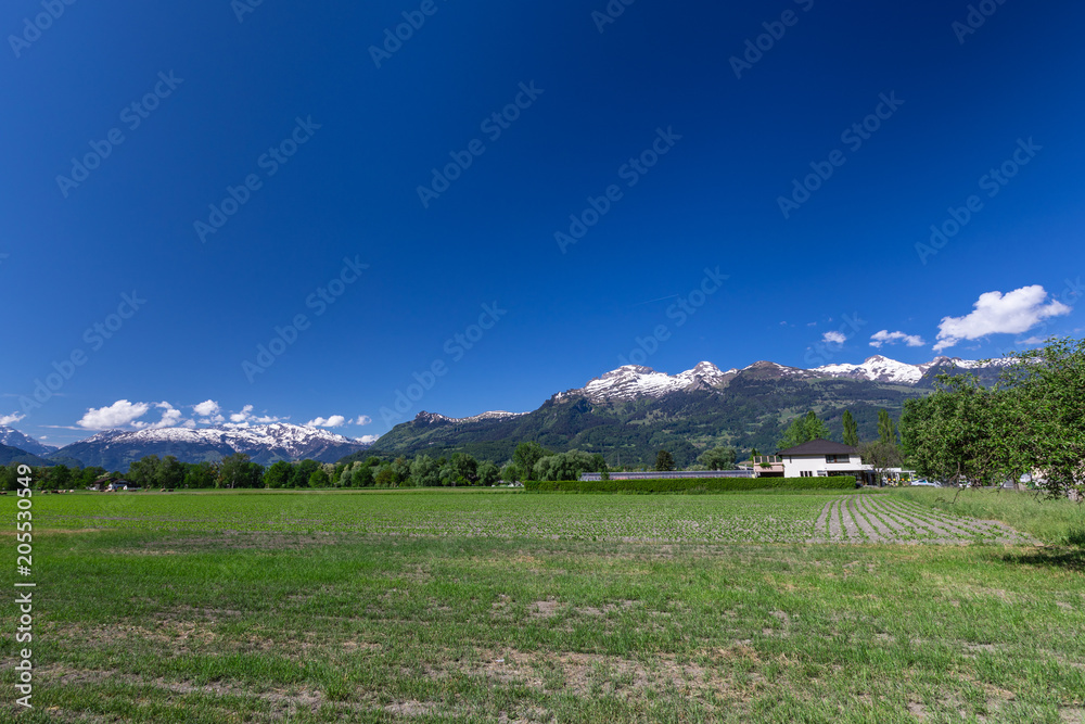 View of the green field and mountains of the Alps in Liechtenstein.