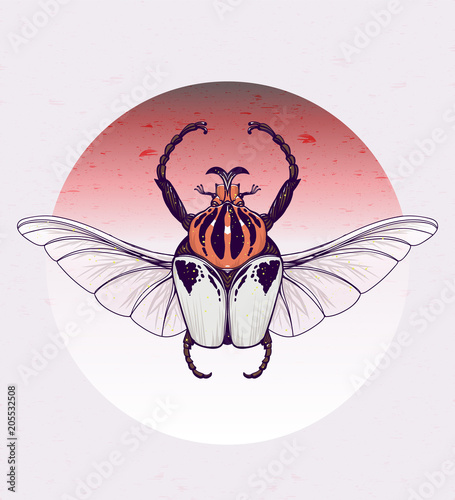 hand-drawn Goliath beetle with skull wings
