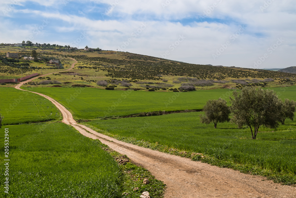 Green and fresh country in the spring in Morocco