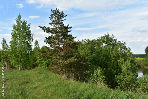 spring landscape, green trees, bushes, grass, sky with clouds