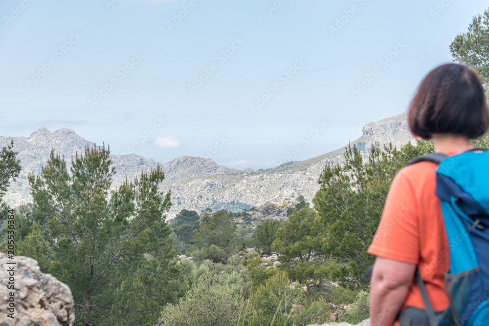 Naklejka premium Wunderbare Bergwelt in der Umgebung des Klosters LLUC, Mallorca