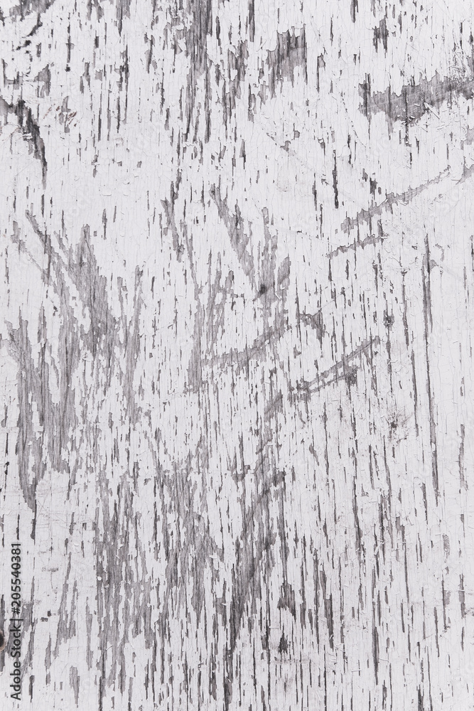 Grunge wood wall pattern. The white wood texture with natural patterns. Grunge wood wall pattern. The white wood texture with natural patterns.