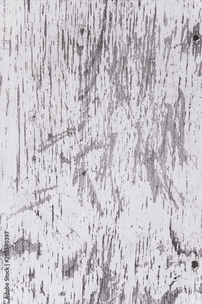 Grunge wood wall pattern. The white wood texture with natural patterns.