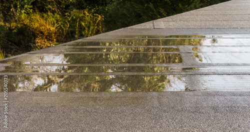Cuadro en lienzo Baumangel Flachdach mit Wasserpfütze Nahaufnahme - Flat roof with puddle of wate